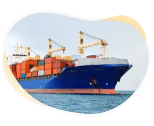 Bảo hiểm hàng hoá vận chuyển giúp bảo vệ hàng hoá trước các rủi ro trong quá trình vận chuyển đường biển và đường bộ